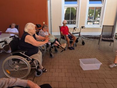 Bewegung macht Freude! – Bild 5